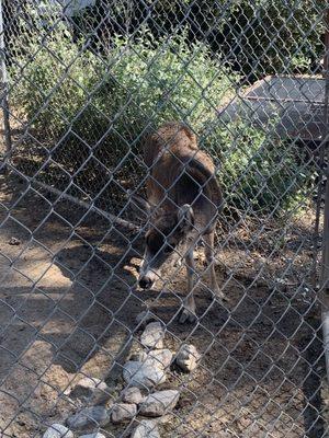 San Dimas Canyon Park