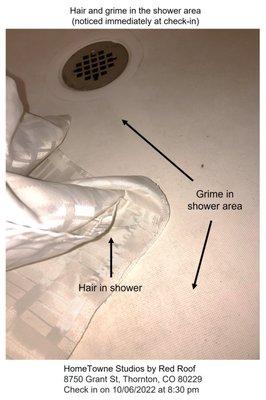 Hair and grime in the shower area
(noticed immediately at check-in)