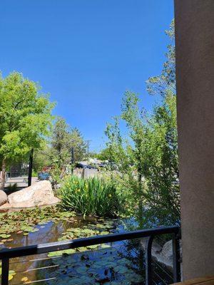 Albuquerque Biological Park