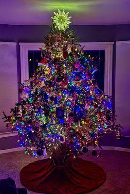 Inctedible trees! Priced reasonably. Ours is still up and doing well. We put it up the week of Thanksgiving and it is 1/6 now!