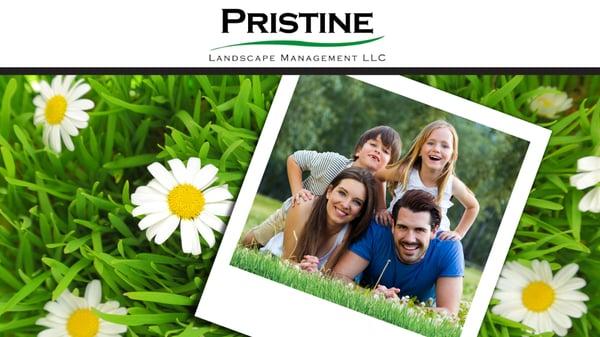 Pristine Landscape Management