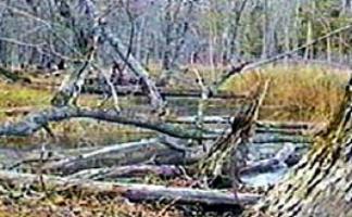 G A Covey Engineering