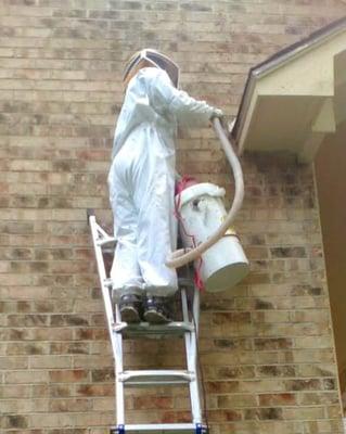 Adkins Bee Removal