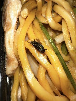 Chicken lo Mein with a crispy dead Fly