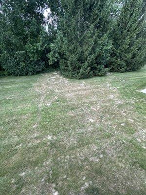 I had a flooding issue because my condominium was set closer to the road, and that created a flooded area directly behind my condominium,