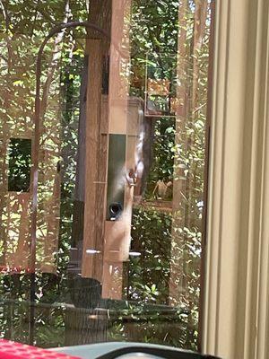 Modern Dental of Kernersville