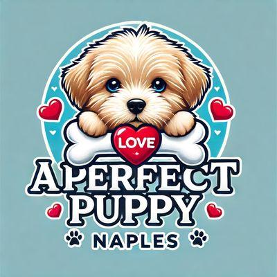 A Perfect Puppy Naples