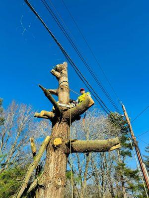 Jrg Construction & Tree Service