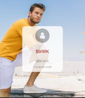 Plexus Premier Group