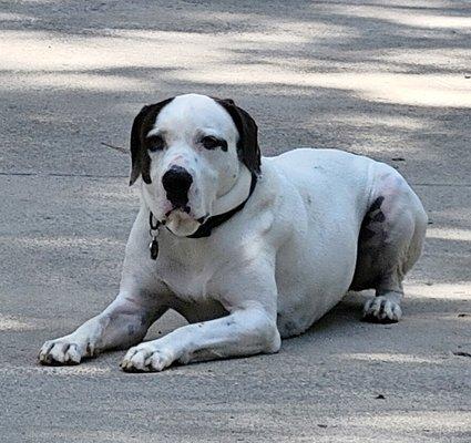 Checklist Concierge Service