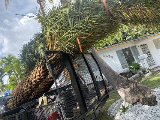 Rambo's Property Preservation