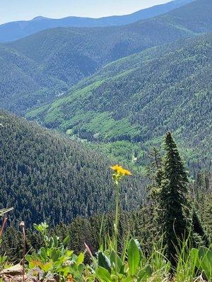 Big Al Horseback Tours