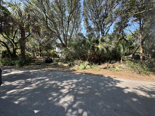 Down to Earth Landscaping and Maintenance