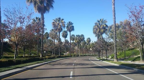 Rolling with the homie...