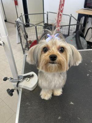 Mom was almost in tears when she saw the finished product.