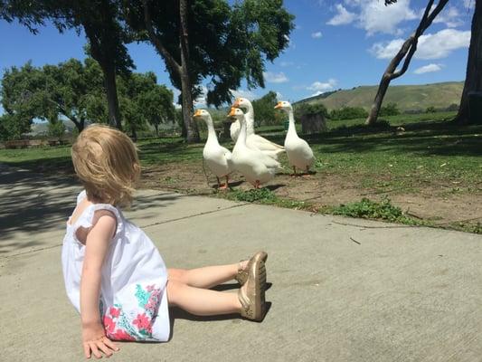 Protecting the innocent in our world (Lake Elizabeth)