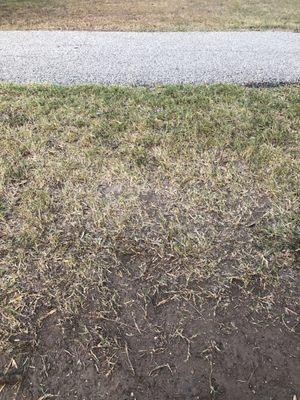 Alice International Airport (ALI)