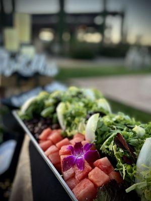 Fat Freddy's Catering