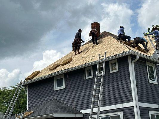 Victory All Season Construction