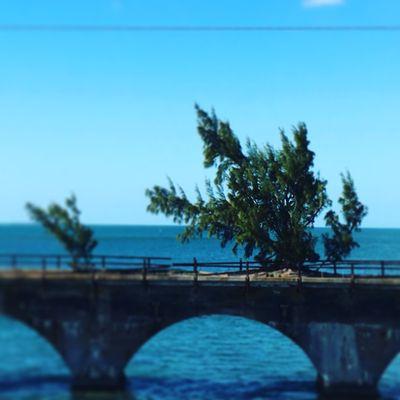 Fred, with his little buddy Wilma. Not pictured: Barney.