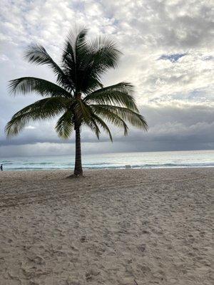 Beautiful beach sunset in Barbados