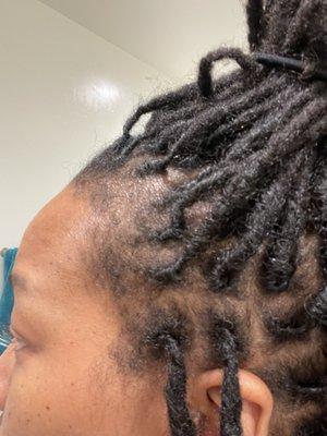 Fine Dreadlocs Natural Hair