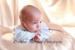 Alice Shammah Photography, Inc