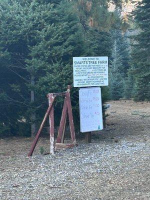 Smart's Christmas Tree Farm