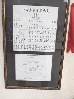 Chong's Wing Chun & Bak Mei Kung Fu Association