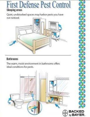 First Defense Pest Control