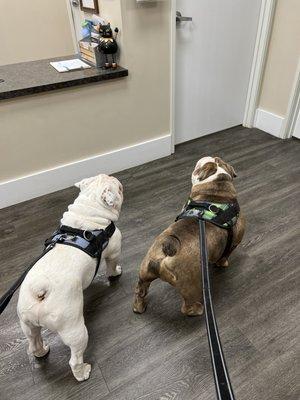 Cranberry Veterinary Hospital