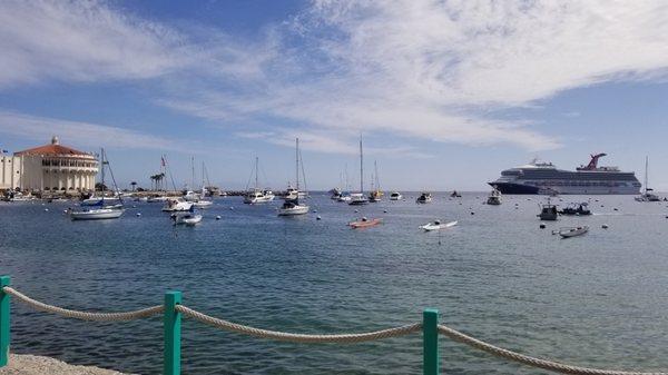 Alemnji Mobile Notary Services