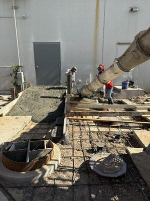 Salty Dog Plumbing Services