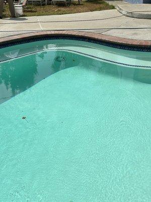 New light fixture and added sea star tile