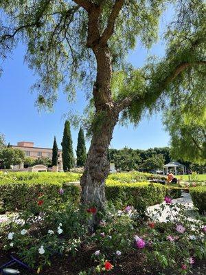 Pretty landscape at Bressi