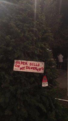 Cousins' Christmas Trees