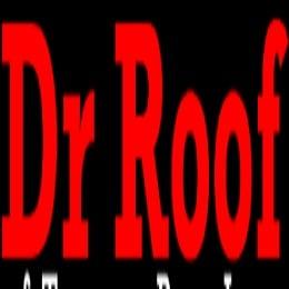 Dr Roof of Tampa Bay