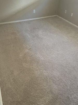 Spot On Carpet Cleaners