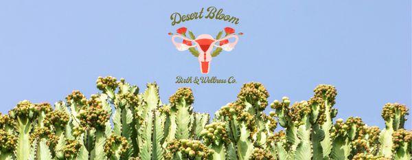 Desert Bloom Birth & Wellness Co