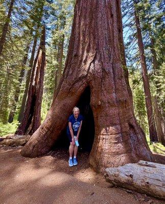 MONTGOMERY MEDICAL ASSOCI