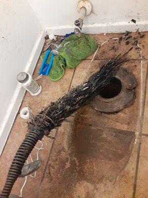 Hazelton Rooter & Plumbing