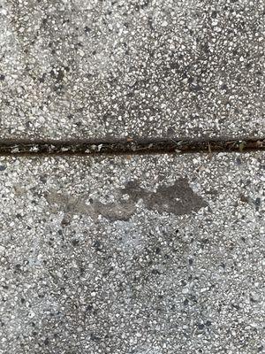 GarageExperts of the Denver Metro