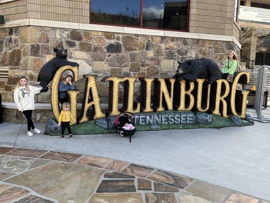 Welcome to Gatlinburg Sculpture