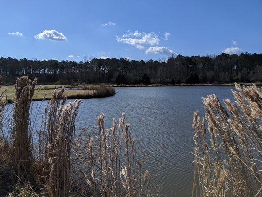 Browns Mill Golf Course