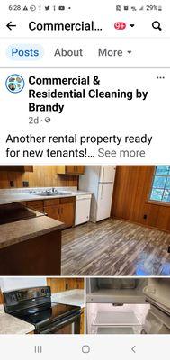 The Cleaning Lady- Brandy Gray