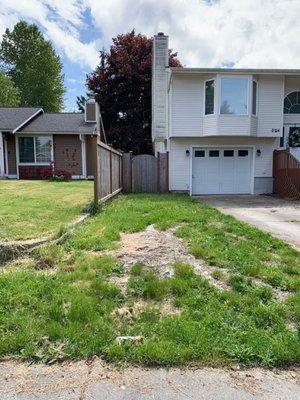 It is hard to tell from this pic how huge that stump is. It made using this as a parking area totally impossible.