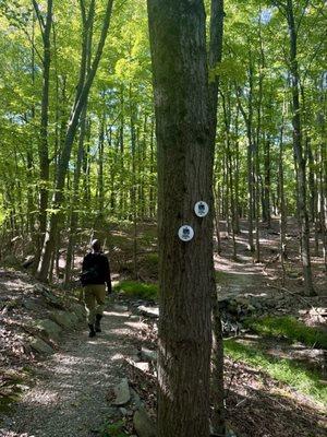 Franny Reese State Park