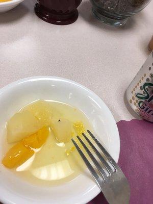 You can have visitors with your.meals they can fly in