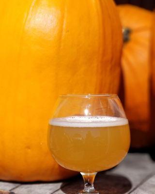 Limited Edition "Witch Be Gone" our pumpkin pie hard cider .