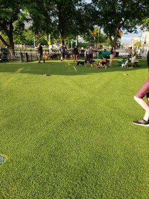 Midtown Dog Park